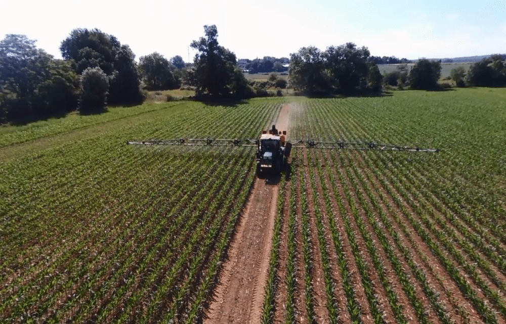 Image Water Stress: “We Need to Teach Plants How to Save Water”