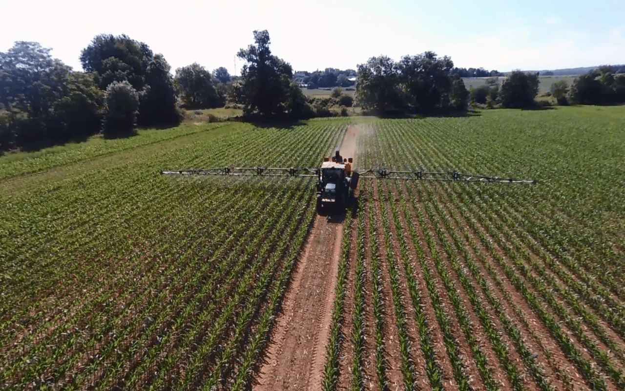 Water Stress: “We Need to Teach Plants How to Save Water”