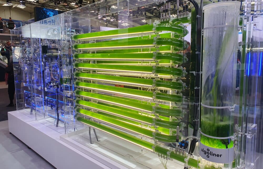 Image Hannover Messe: Technology and Nature Converge to Build a Sustainable Future