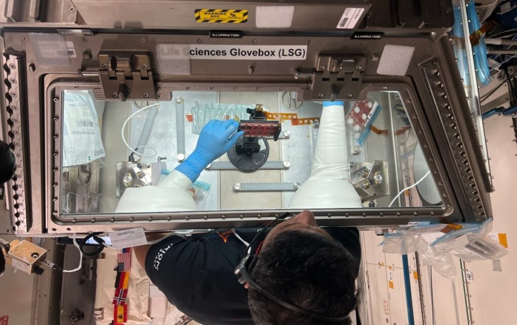 Image Microgravity Manufacturing Opens New Frontiers for Life Sciences