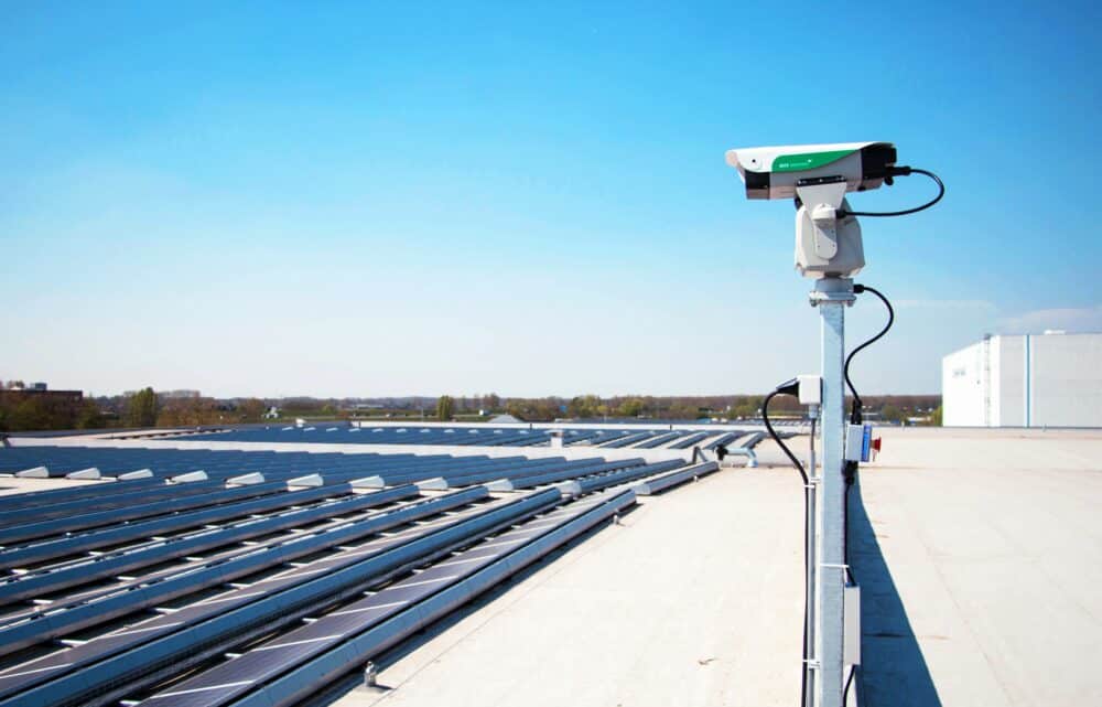 Image Keeping Birds at Bay with Lasers