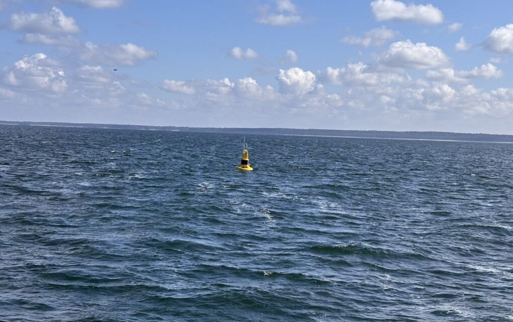 Image Real-Time Data at the Harbour Mouth: What Klaipėda’s New Smart Buoy Means for Port Operations
