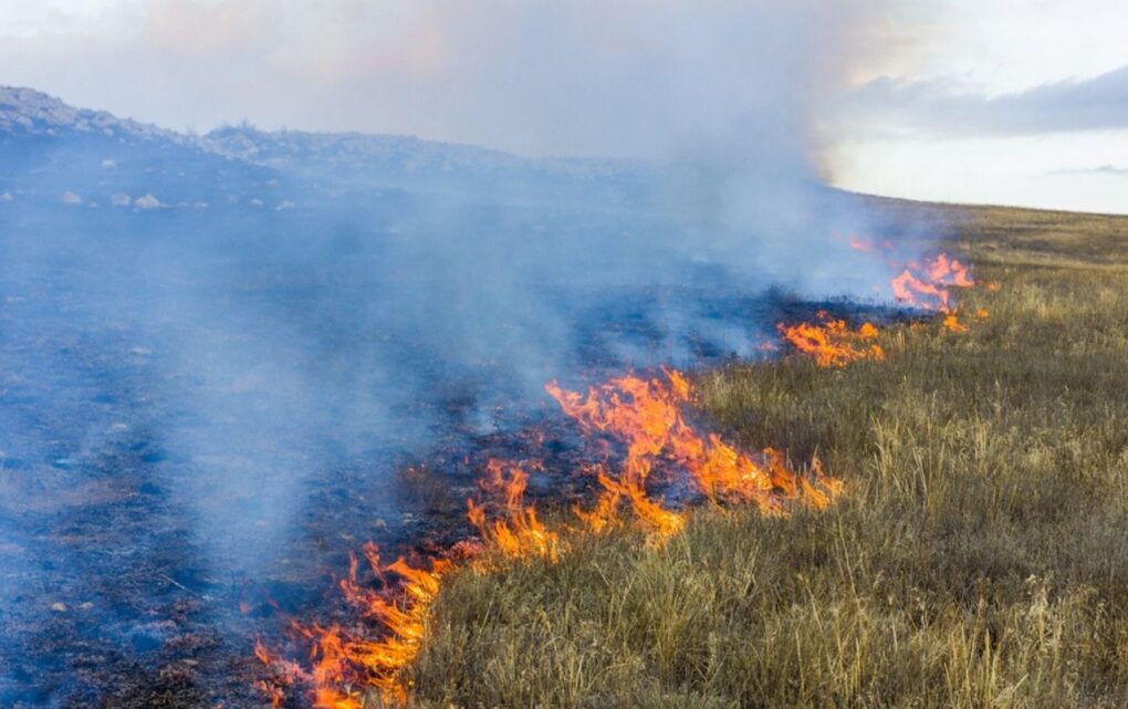 Image How to Mitigate Climate Risk: The Production Basins Approach 