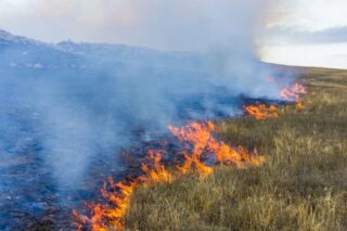 Image How to Mitigate Climate Risk: The Production Basins Approach 