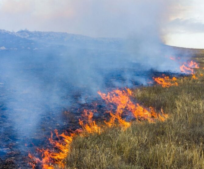 Image How to Mitigate Climate Risk: The Production Basins Approach 