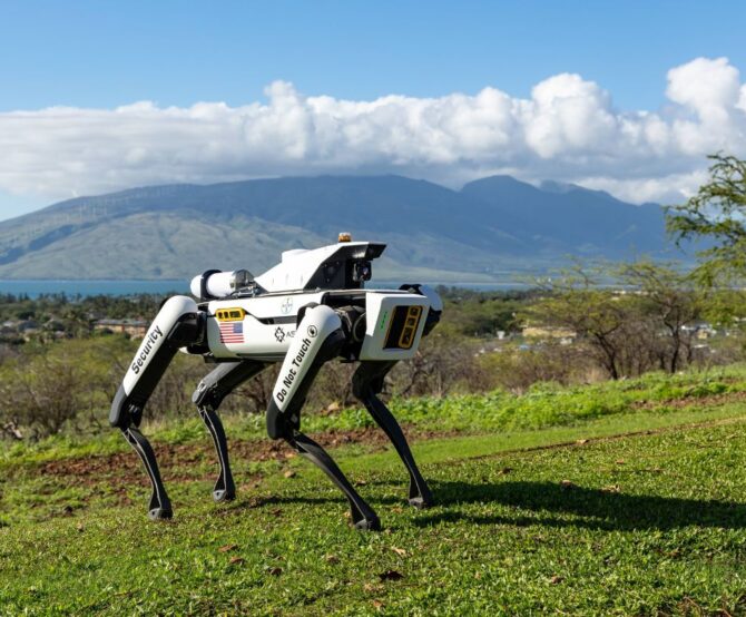 Image Robotic Dogs Now on Patrol Guarding Valuable Corn Crops