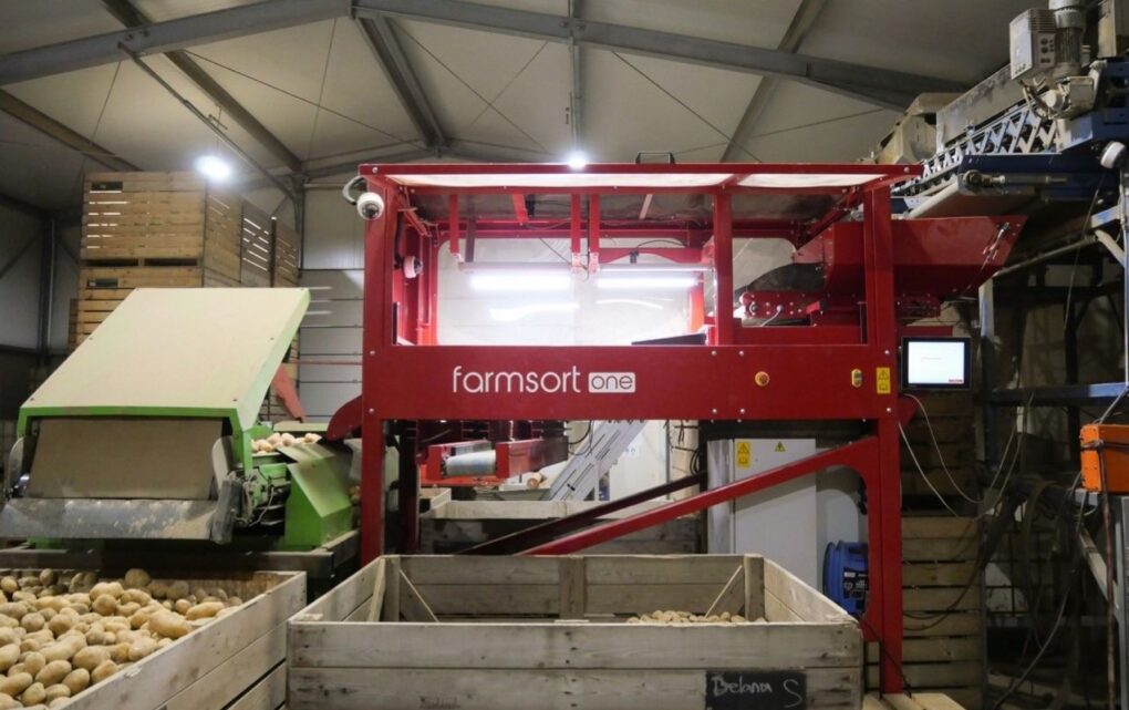 Image Smart Agriculture: Precision Optical Sorting Brings Industrial Inspection to Family Farms