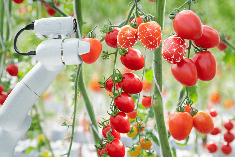Robots Out in the Field: Key Faulhaber Technologies For Smart Farming