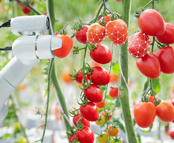 Image Robots Out in the Field: Key Faulhaber Technologies For Smart Farming