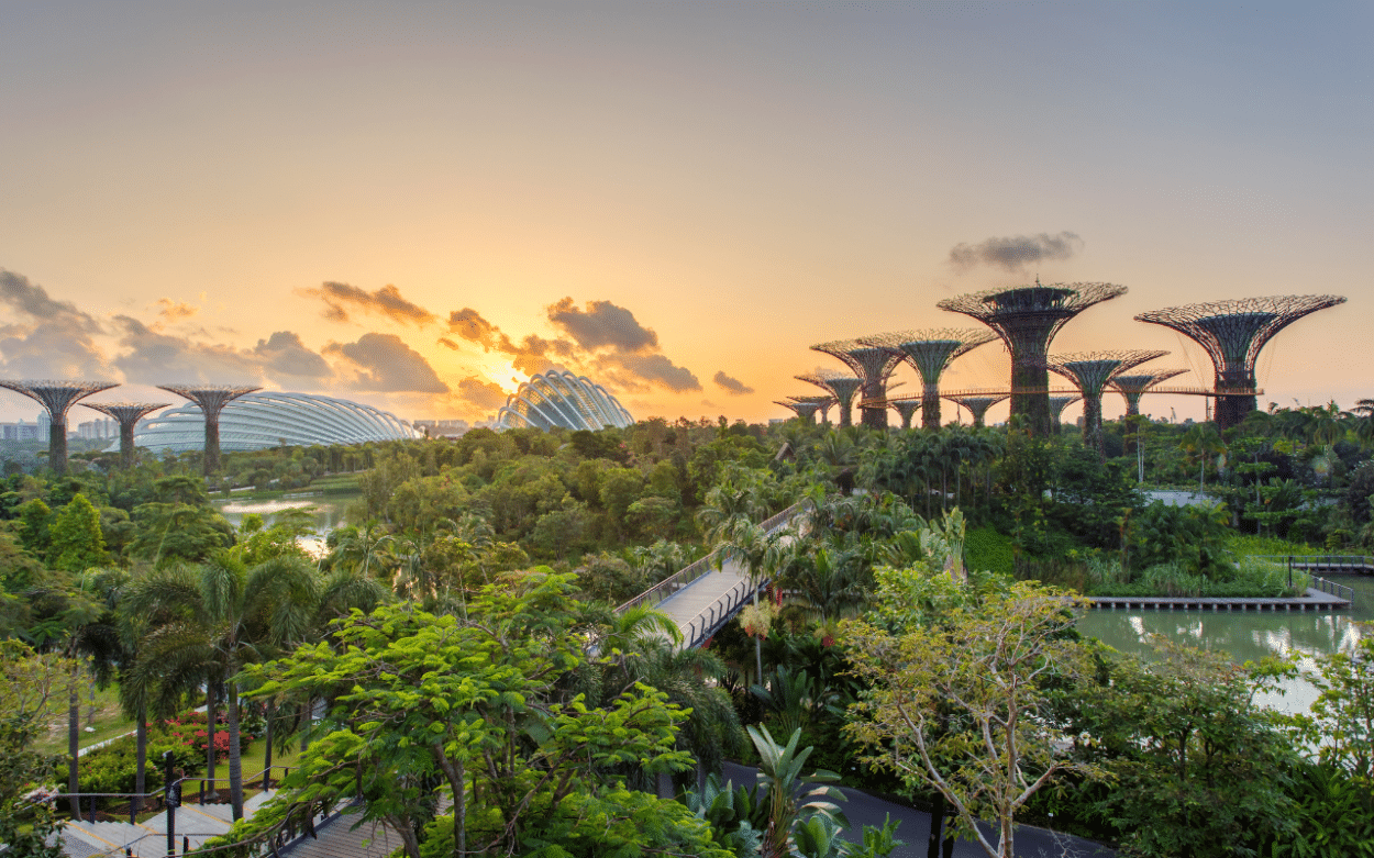 How Is Singapore Adapting to Climate Change?