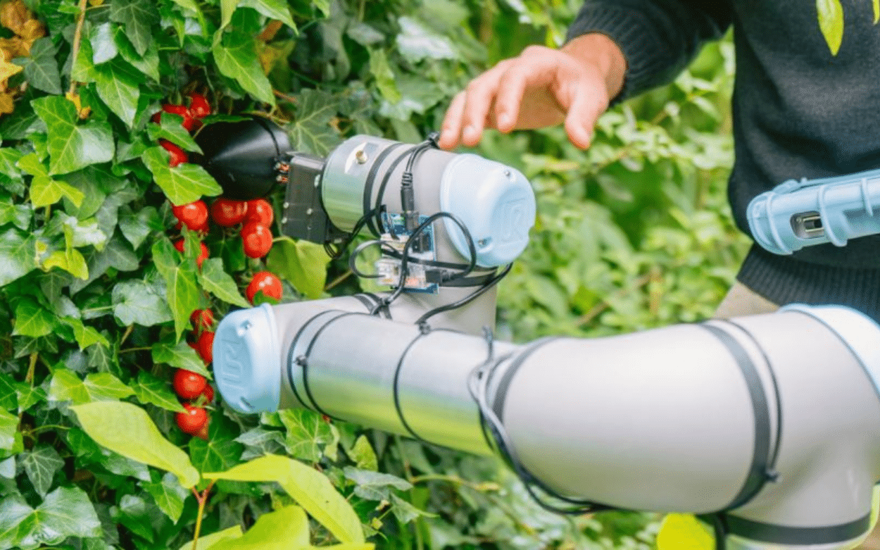 The tomato picker robot designed with ChatGPT by researchers from TU Delft and EPFL moves through a testing environment. Credit: Adrien Buttier / EPFL