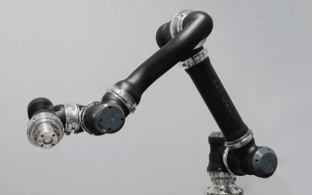 MS-Innov: The Newcomer in French Cobotics