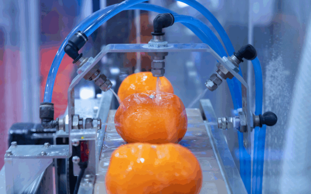 Smarter, Safer, Cleaner: Tech Innovations in Food Safety