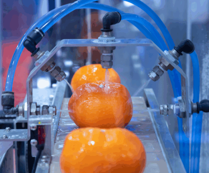 Image Smarter, Safer, Cleaner: Tech Innovations in Food Safety