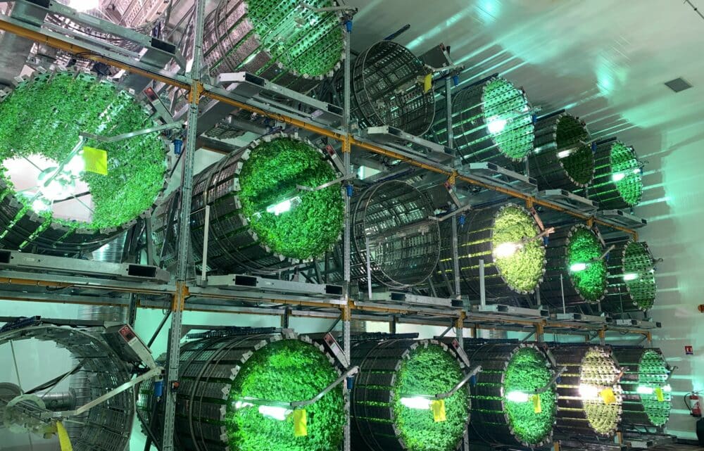 Image Delving into the ‘Futura Gaïa’ of Growing Sustainable Food