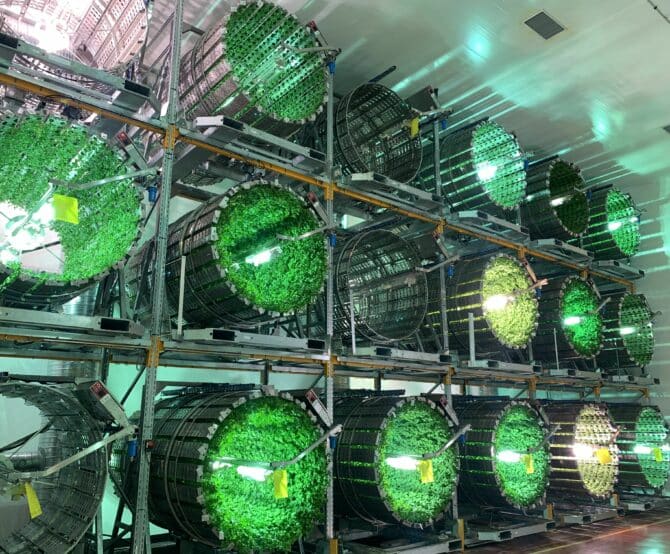 Image Delving into the ‘Futura Gaïa’ of Growing Sustainable Food