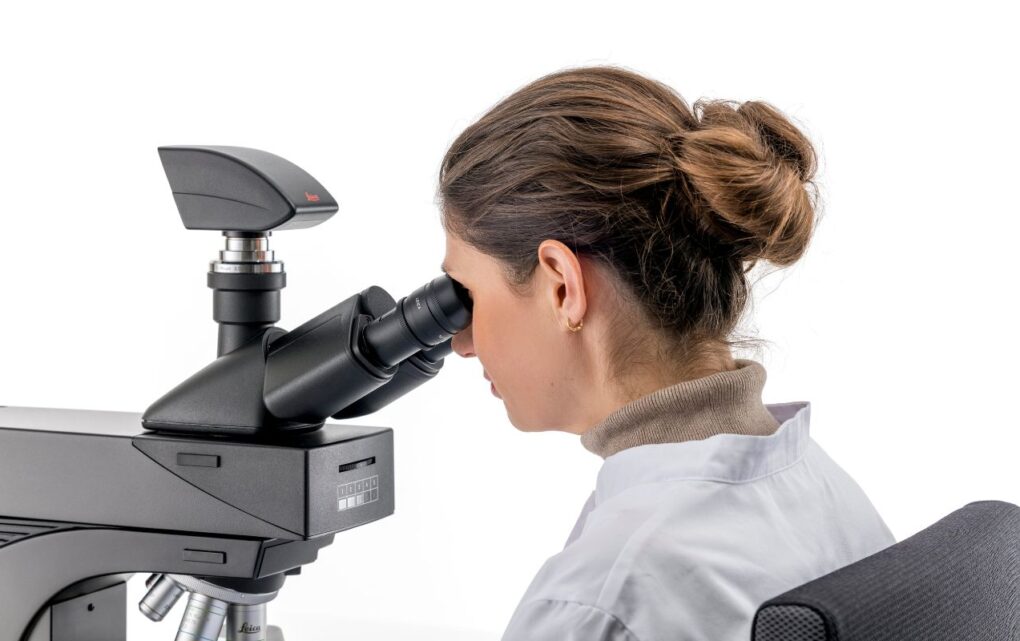 Image Clinical Microscopy: Considerations on Camera Selection (by Leica Microsystems)