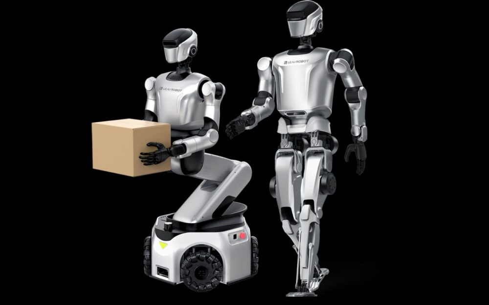 Leju Robotics