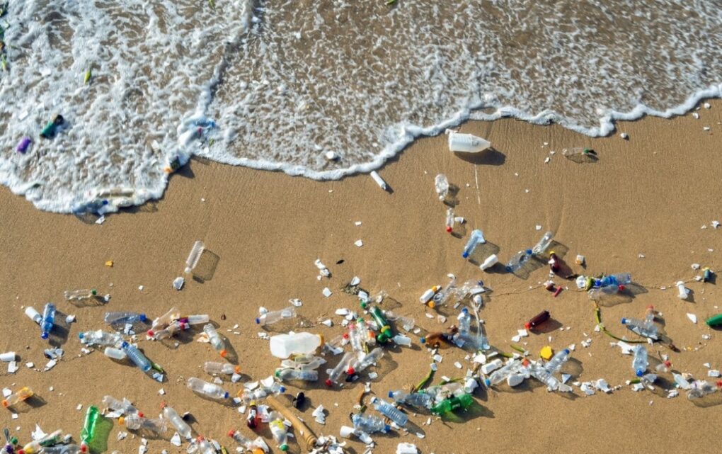 Image Geneva 2025: The Crucial Countdown to a Global Plastics Treaty