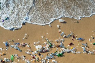Image Geneva 2025: The Crucial Countdown to a Global Plastics Treaty