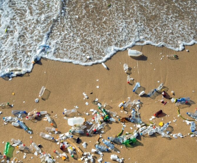 Image Geneva 2025: The Crucial Countdown to a Global Plastics Treaty