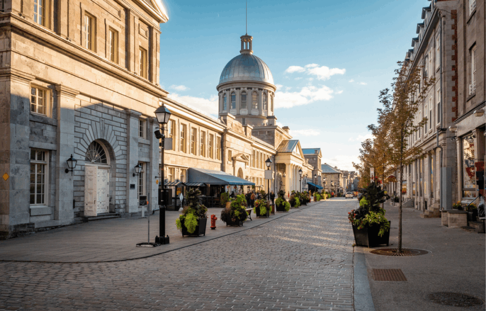 Image Quebec’s Life Sciences Sector Gears Up for Global Leadership