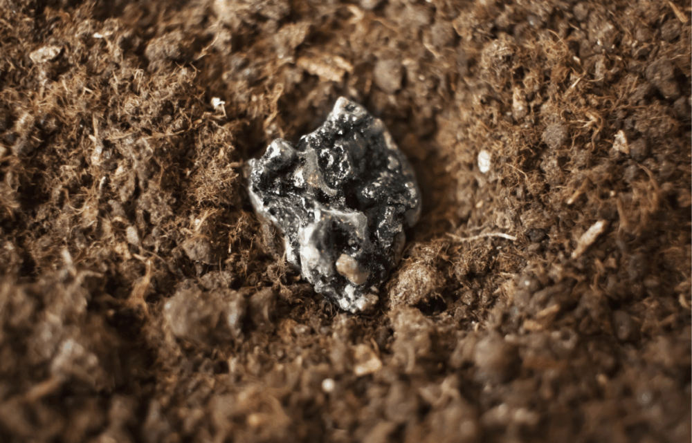 Image What Are Rare Earth Elements, and Why Are They So Important for Industrial Production?