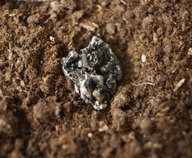 Image What Are Rare Earth Elements, and Why Are They So Important for Industrial Production?