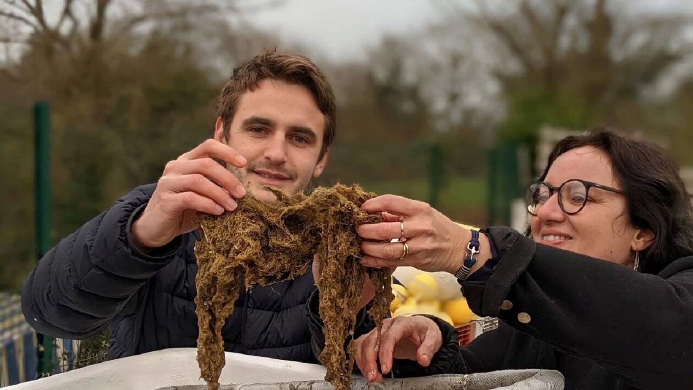 A French Start-up Transforms Mussel Byssus into Textile Material