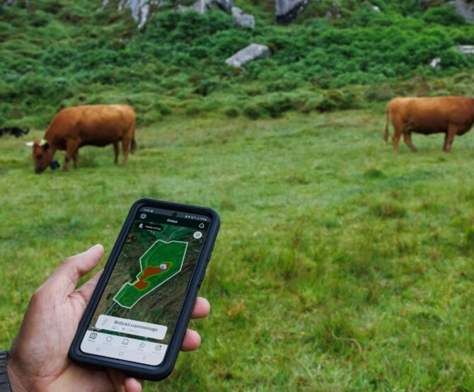 Image Livestock Farmers Syncing in with Virtual Fencing Technology