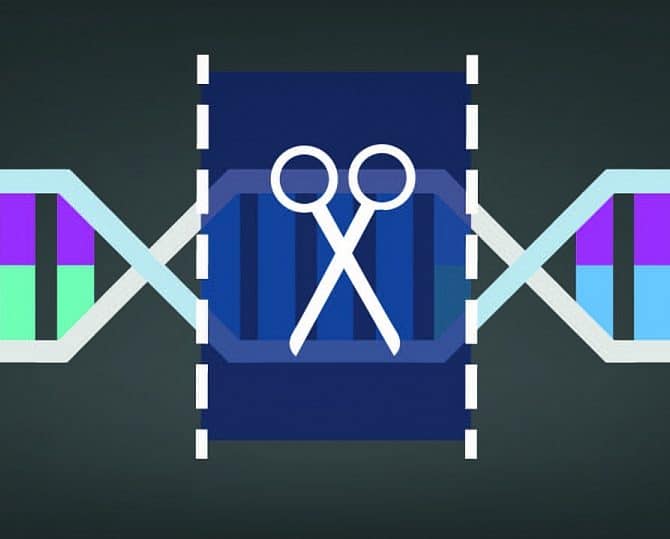 Image CRISPR-Cas9: Artificial Intelligence Gets Involved in Gene-Editing