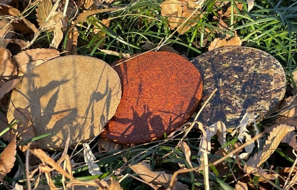Image Japanese Scientists Have Made Edible Cement from Food Waste