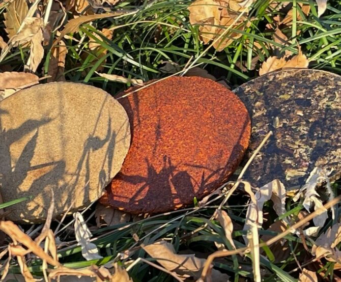 Image Japanese Scientists Have Made Edible Cement from Food Waste