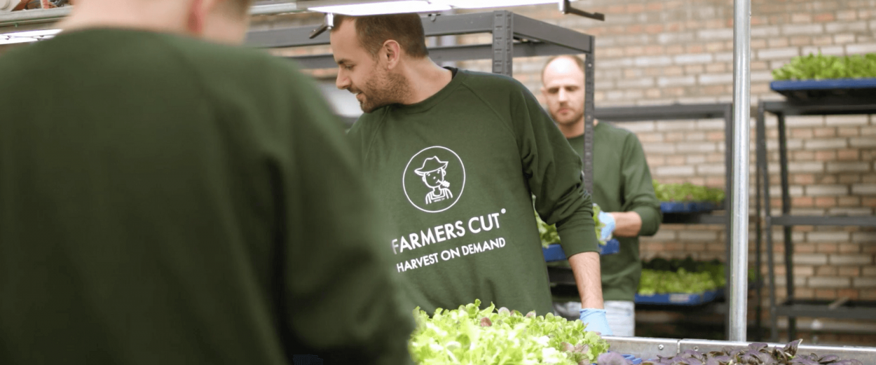 Farmers Cut