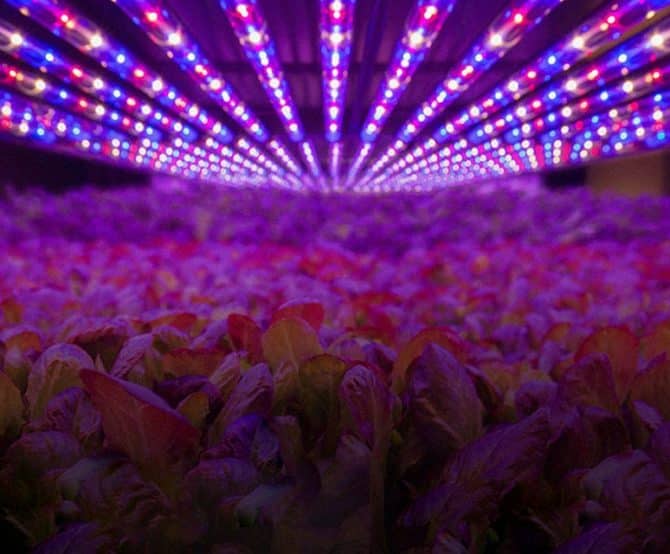 Image Visit 4 Farms of the Future