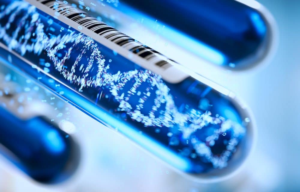 Image Focus on 5 Promising French Biotech Companies