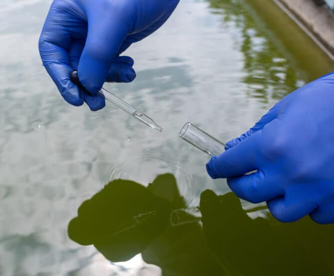 Image 4 New Eco-Friendly Solutions for Cleaning Water and Wastewater