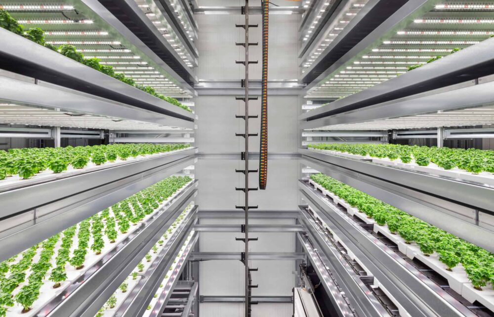 Image Growing Sustainable Food in Urban Areas: Focus on 3 European Concepts