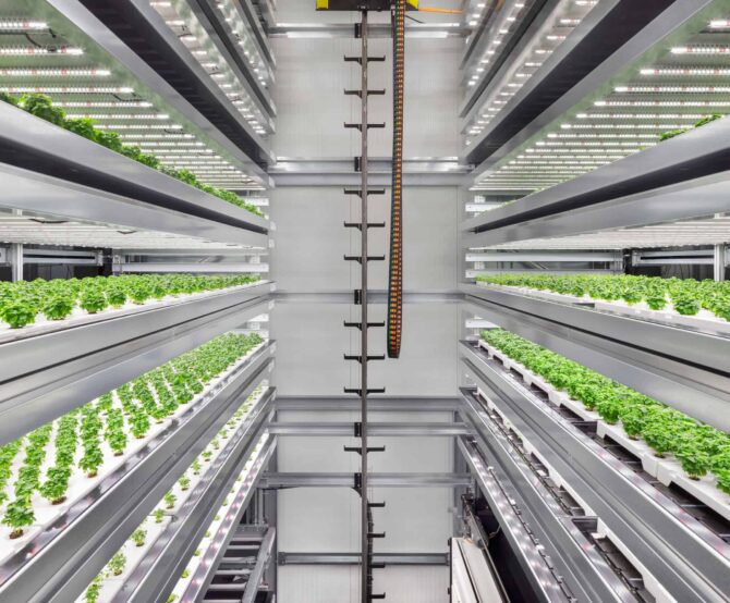 Image Growing Sustainable Food in Urban Areas: Focus on 3 European Concepts