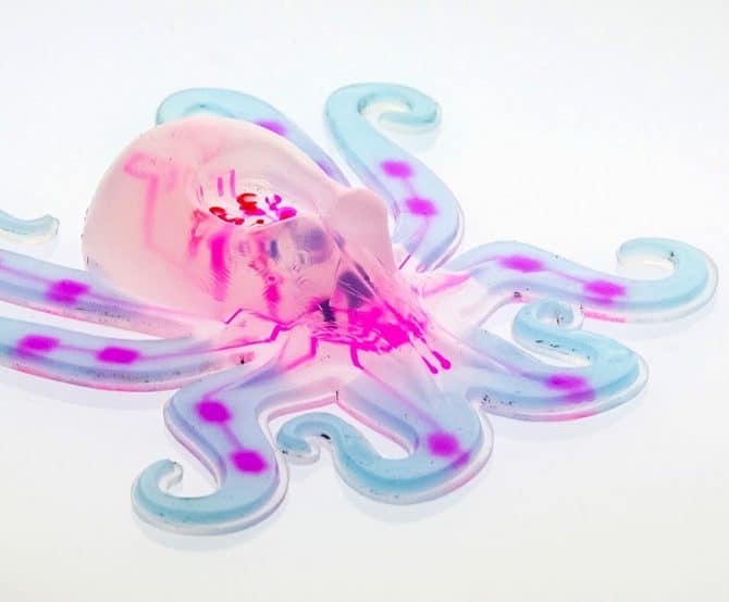 Image Robots with a Gentle Touch